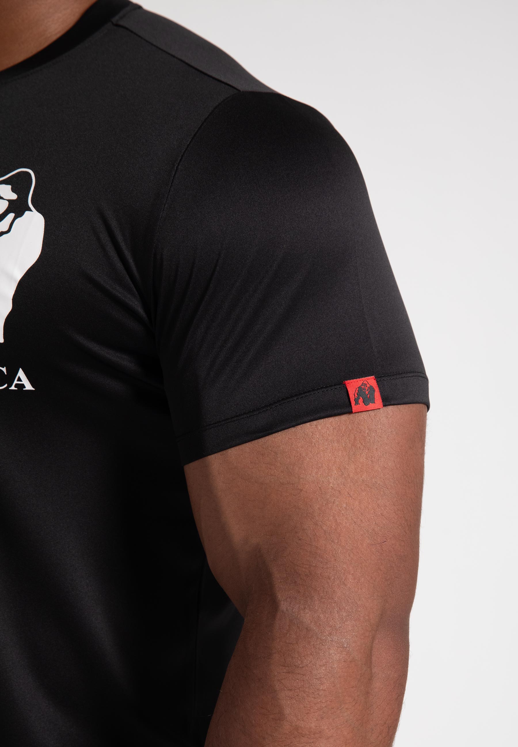 Gorilla Wear Classic Training T-Shirt - Kaikki värit