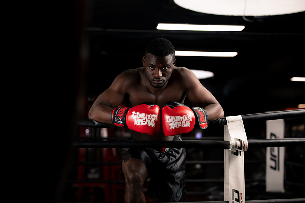 Gorilla Wear Ashton Pro Boxningshandskar
