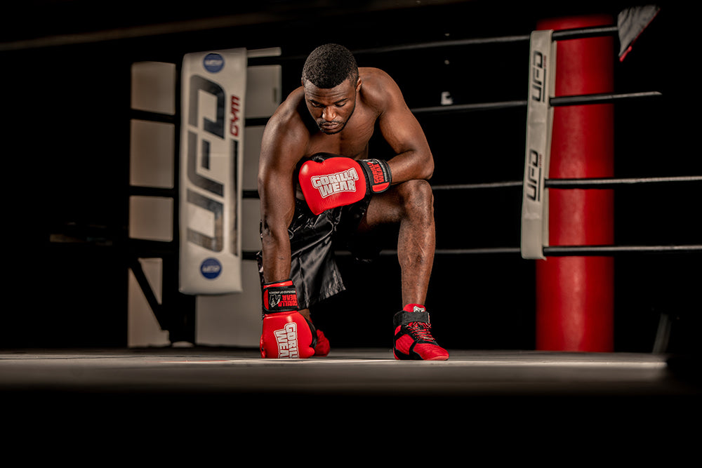 Gorilla Wear Ashton Pro Boxningshandskar