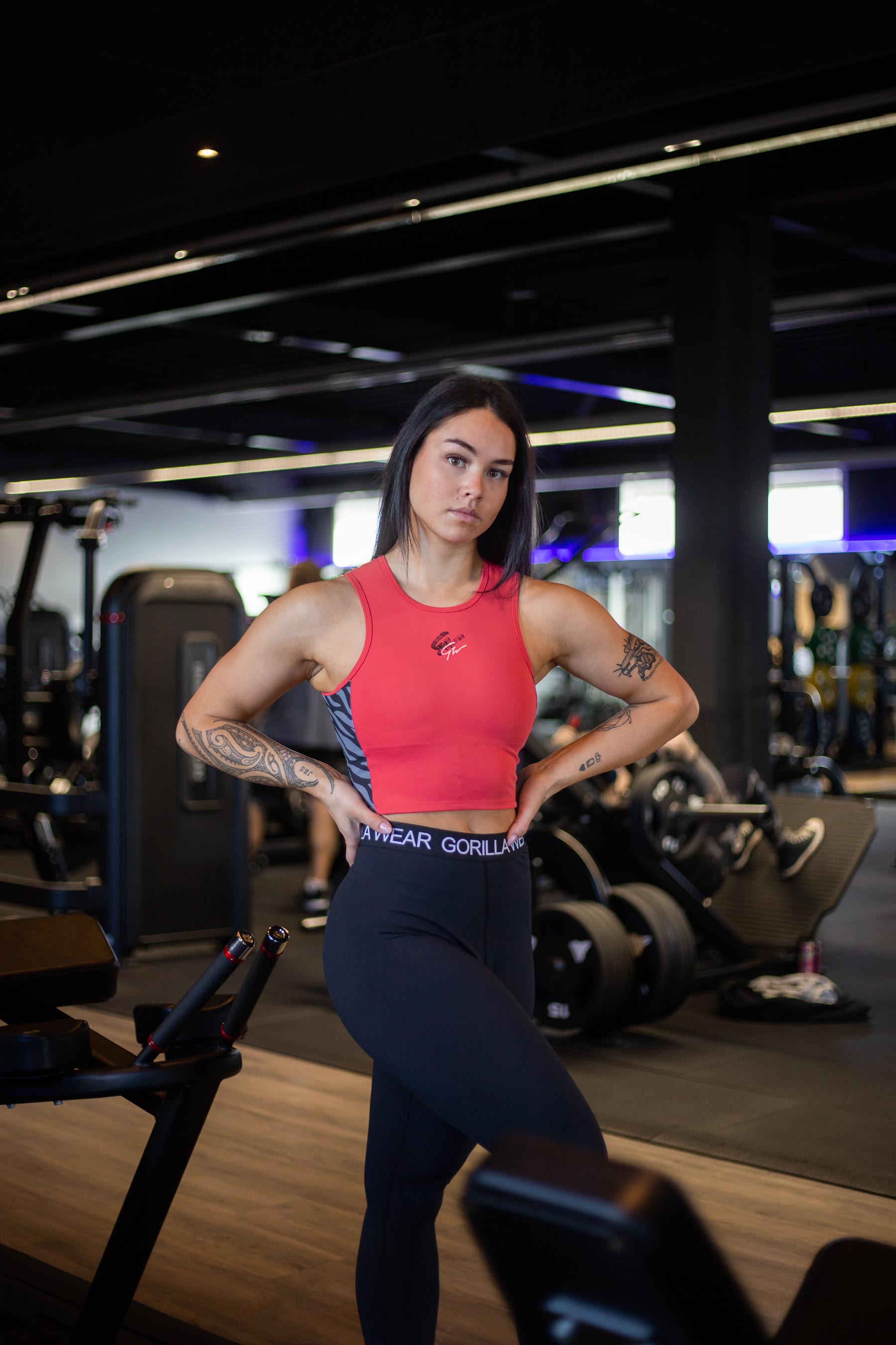 Gorilla Wear Zion Crop Top - Kaikki värit